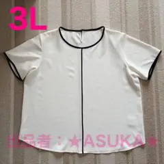AOKI パイピング　ブラウス 夏物　きれいめ　オフィスカジュアル　3Lのサムネイル