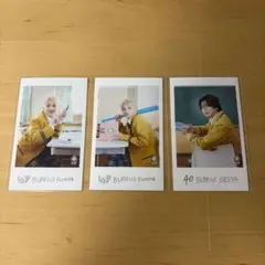 BUDDiiS ブロマイド 3枚セット FUMIYA SEIYA