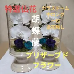 特選仏花 ガラスドーム 特大ロング 一基 プリザーブドフラワー - メルカリ