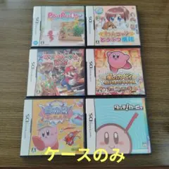 ニンテンドーDS　ケースのみ