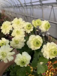 hiroakin様 リクエスト 2点 まとめ商品