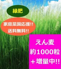 めぐ様 リクエスト 2点 まとめ商品