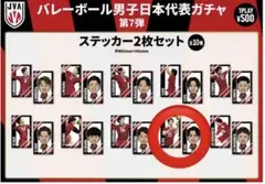 バレーボール日本代表甲斐優斗選手