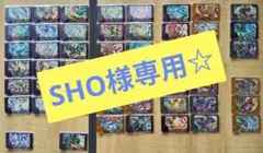 SHO様専用☆