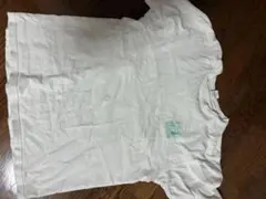 Item thumbnail for item b438eb7e-3bbc-4a70-80f8-f056f85cae05