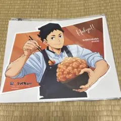 ハイキュー　大戸屋　ビジュアルボード　澤村大地