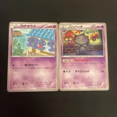 カゲボウズ　ジュペッタXY