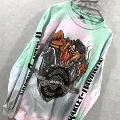 GILDAN ハーレーダビッドソン タスマニアデビル ロングＴシャツ レア Ｍ