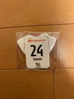 Item thumbnail for item d1e66d3f-b79f-4a79-9238-43313a9cf6b4