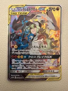 2026年最新】レシラム&ゼクロムgx srの人気アイテム - メルカリ