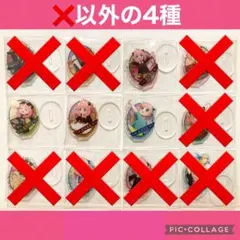 アクリミニ　スパイファミリー（❌以外の4種）