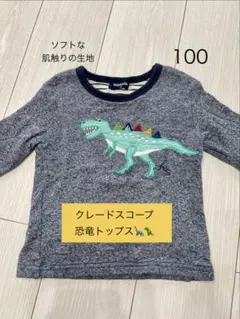 klädskap クレードスコープ恐竜トップス 100