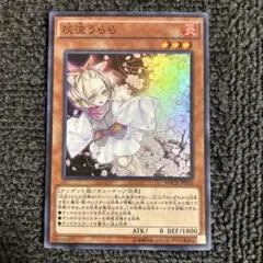 灰流うらら スーパー MACR-JP036