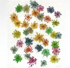 Item thumbnail for item bd5dd3a0-7680-484f-8b64-352b653e4bcd