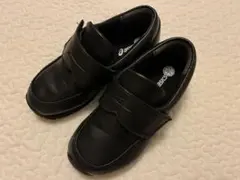 Item thumbnail for item 41a4e070-8822-408d-b19d-9ca851b506ab