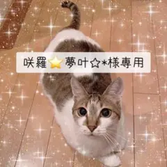 咲羅⭐夢叶☆*様 リクエスト 2点 まとめ商品