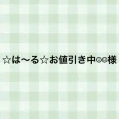 ☆は〜る☆お値引き中☺︎☺︎様