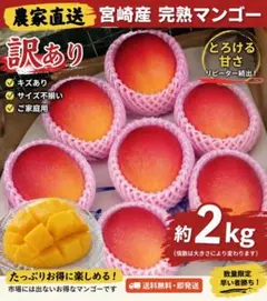 鹿児島県産 ご家庭用 完熟マンゴー2L 12玉 c - メルカリ