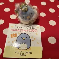 すみっコぐらし わきやく選手権 ぺんぎん本物 てのりぬいぐるみ まめ本