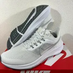 28cm Nike Air Zoom Pegasus 39 DH4071-100