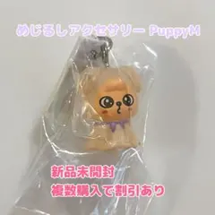 SKZOO めじるしアクセサリー PuppyM / パピーム / スンミン