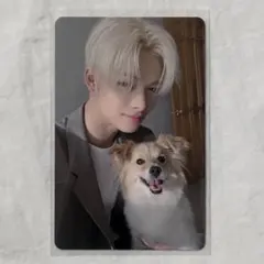 ENHYPEN ニキ 2025 アンケートトレカ トレカ