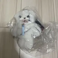 ユニバ ハミクマのサムネイル