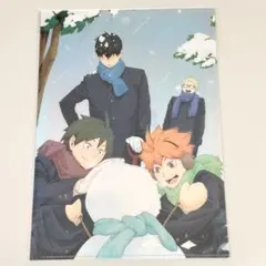 ハイキュー 烏野 クリアファイル