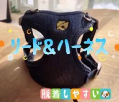 リード＆ハーネス紺色 L 調整可能　脱着簡単　散歩　お出かけ　犬猫　鈴　丈夫軽量