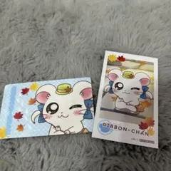 リボンちゃん 2点セット