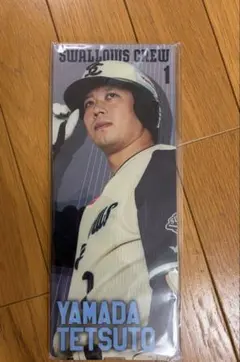 山田 選手 パネル ◆東京 ヤクルトスワローズ
