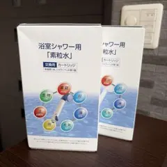 フリーサイエンス 浴室シャワー　カートリッジ 2個セット　素粒水 シャワーカートリッジ 活性炭 フリーサイエンス 2箱 - メルカリ