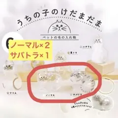 うちの子のけだまだま　猫　3個セット