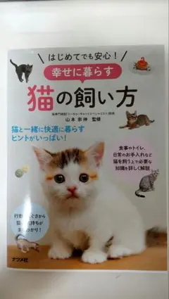 Item thumbnail for item 70c08722-88d9-4ca9-bb0b-0afa77c703ac