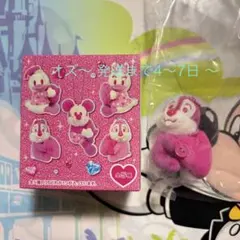 ディズニーランド⭐️ディズニーパルパルーザ ミニー ぬいぐるみチャーム チップ