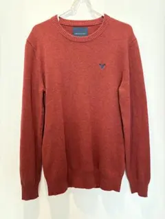 AMERICAN EAGLE オレンジ クルーネック セーター Sサイズのサムネイル