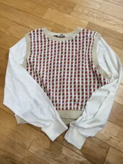 ZARA ザラ 長袖 チェック柄 ニット ベスト ドッキング 重ね着 切替