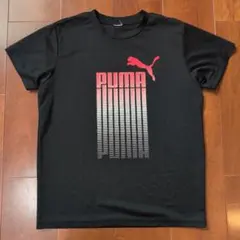 PUMA ブラック Tシャツ グラデーションロゴ