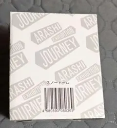 嵐 ARASHI 展覧会 グッズ スノードーム