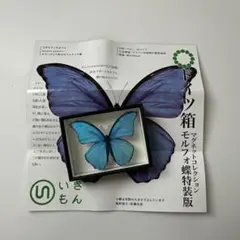 2026年最新】ドイツ箱標本の人気アイテム - メルカリ