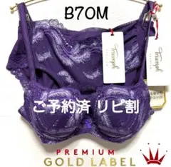 ＊B70M ゴールドレーベル バイ トリンプ3060 ブラ＆ショーツPurpleのサムネイル