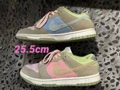 NIKE Dunk Low Retro SE 