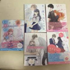 野いちご文庫5冊セット