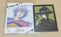 冬*季様 ツイステ くつろぎマイルーム フォト風カード　シルバー マレウス ぱし