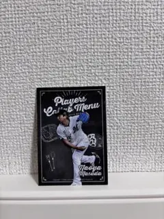 【超美品／保証書付/限定99個】益田直也 直筆サイン入りフォトパネル 2026年最新】益田直也の人気アイテム - メルカリ