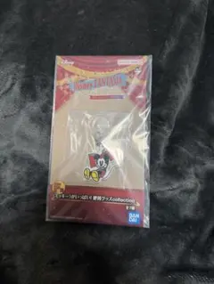 ディズニー 85周年記念 めじるしアクセサリー