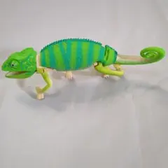 カメレオン