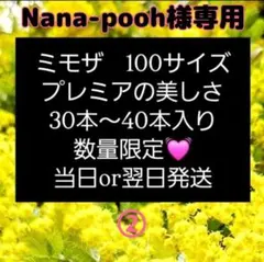 こちらはNana-pooh様専用ページです。ミモザ 100サイズ 2箱