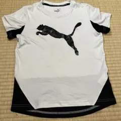 PUMA Tシャツ ホワイト ブラック 140