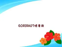 GORIRA07様 リクエスト 2点 まとめ商品
